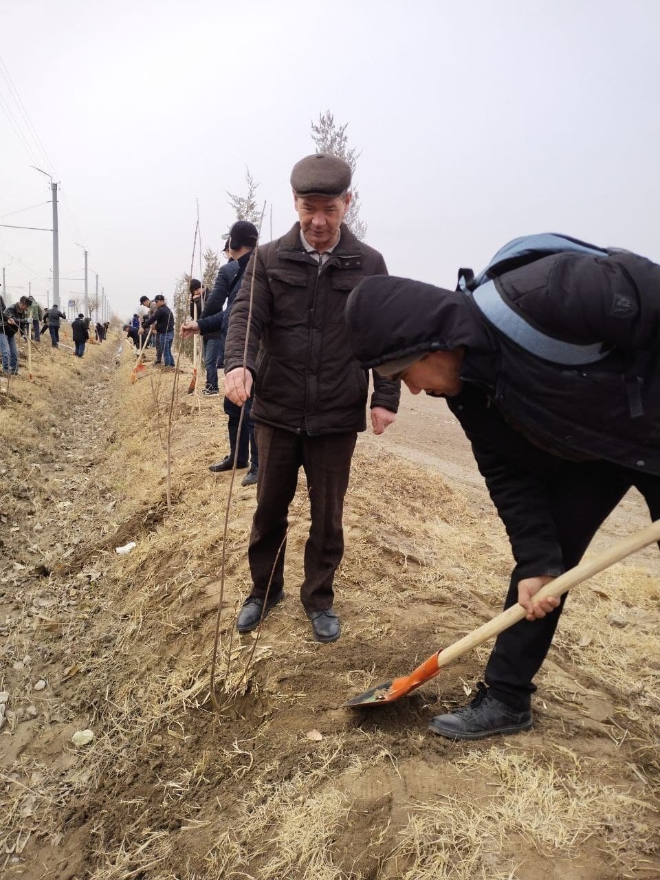 Yashil makon loyihasi davom etmoqda